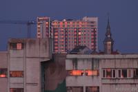 Imagine atasata: 22_0206_4244dpp_s.jpg